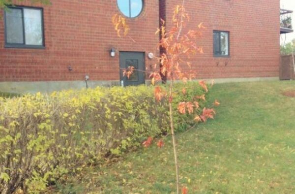 15003313_1763405427257476_5309869938592225367_o